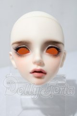 SWITCH/SHIHOヘッド A-26-03-18-1039-TN-ZU