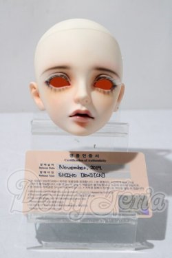 画像5: SWITCH/SHIHOヘッド A-26-03-18-1040-TN-ZU