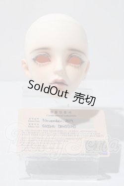 画像5: SWITCH/SHIHOヘッド A-26-03-18-1040-TN-ZU