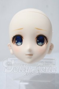 DD/DDカスタムヘッド：造形村76 A-26-03-18-1036-TN-ZU