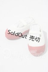 MDD&SDM/OF：上履き A-26-04-01-1055-TN-ZU