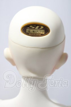 画像5: SD13女の子/フルチョイスF-58 U-26-03-18-217-TN-ZU