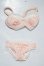 画像1: DD/OF:レースブラ＆ショーツセット A-26-03-25-1025-TN-ZU (1)