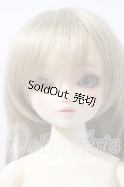 画像1: SDM/サキ　スタンダードモデル U-26-03-25-215-TN-ZU