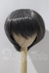 8-9inch/ウィッグ U-26-04-08-031-TN-ZU