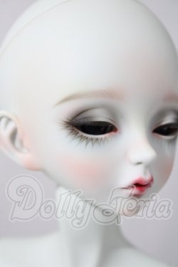 画像3: peak's woods/FOC 　tristan A-26-04-01-1099-TN-ZU