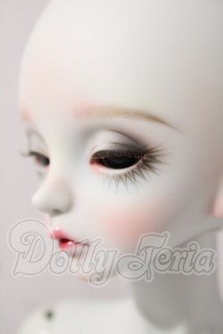 画像4: peak's woods/FOC 　tristan A-26-04-01-1099-TN-ZU