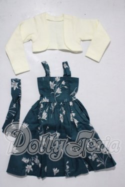 画像1: SDM＆MSD/OF:衣装セット U-26-04-01-134-TN-ZU