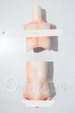 画像1: MDD/隠's ボーイボディー 外被パーツ:kakuso doll様製 A-26-04-01-1088-TN-ZU