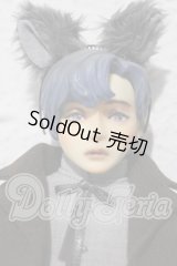 NIJIQO/誠くん A-26-04-01-1045-TN-ZU