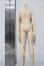 画像2: azone/1/6 ピュアニーモボディ ピュアニーモフレクション S/男の子 ホワイト A-26-04-01-1040-TN-ZU (2)