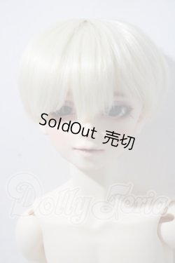 画像1: SDGrB/フルチョイスF-17 U-26-04-01-212-TN-ZU