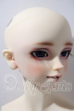 画像3: SDGrB/フルチョイスF-17 U-26-04-01-212-TN-ZU