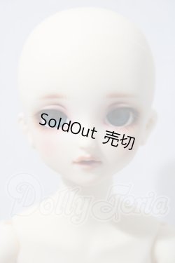 画像2: SDM/コーディネートF-40 U-26-04-01-216-TN-ZU