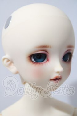 画像3: SDM/コーディネートF-40 U-26-04-01-216-TN-ZU