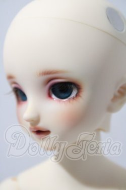 画像4: SDM/コーディネートF-40 U-26-04-01-216-TN-ZU