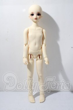 画像5: SDM/コーディネートF-40 U-26-04-01-216-TN-ZU