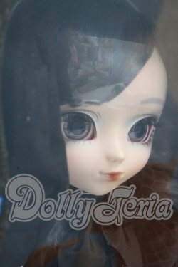 画像3: プーリップ/エーデルシュタイン I-26-04-05-059-TN-ZI