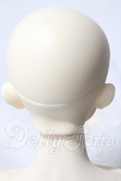 画像4: LUTS/Senior65 Delf XYLON　ヘッド A-26-04-08-1098-TN-ZU