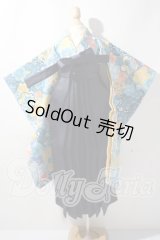 SD/OF：VOLKS袴セット U-26-04-08-149-TN-ZU