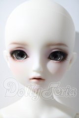 SDM/フルチョイスF-58 U-26-04-08-216-TN-ZU