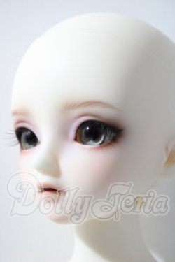 画像2: SDM/フルチョイスF-58 U-26-04-08-216-TN-ZU