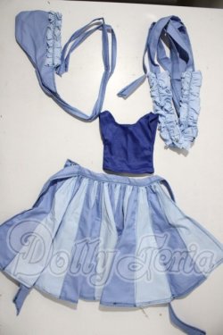 画像1: SD/r.farolito製衣装セット U-26-04-08-180-TN-ZU