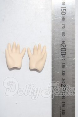 画像2: MDD/MDD-H-04（パー） A-26-04-15-1045-TN-ZU