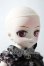 画像3: MDD/ベースボディIII　DDH-29カスタムドール A-26-04-15-1098-TN-ZU (3)