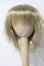 画像1: 7-8inch/ウィッグ U-26-04-29-002-TN-ZU (1)