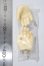 画像2: SD13B-H-02 U-26-05-20-198-TN-ZU (2)