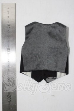 画像2: SDM＆MSD/OF:ベスト U-26-04-15-177-TN-ZU