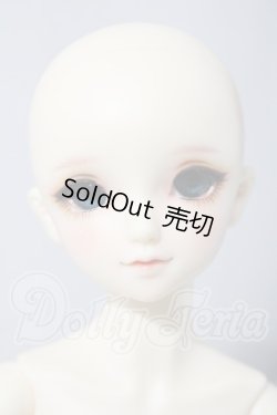 画像2: SDM/フルチョイスF-45 U-26-04-15-215-TN-ZU