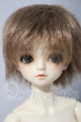 SDM/F-31　コーディネートモデル U-26-04-15-214-TN-ZU