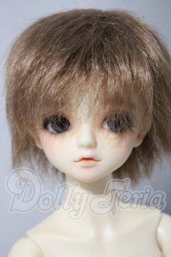 画像1: SDM/F-31　コーディネートモデル U-26-04-15-214-TN-ZU