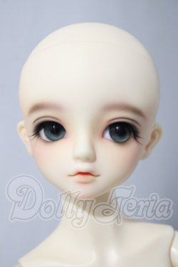 画像2: SDM/F-31　コーディネートモデル U-26-04-15-214-TN-ZU