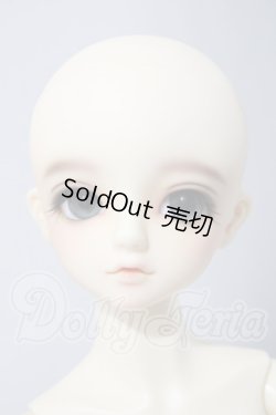 画像2: SDM/F-31　コーディネートモデル U-26-04-15-214-TN-ZU