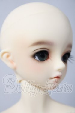 画像3: SDM/F-31　コーディネートモデル U-26-04-15-214-TN-ZU