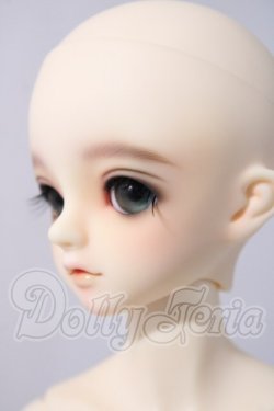 画像4: SDM/F-31　コーディネートモデル U-26-04-15-214-TN-ZU