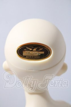 画像5: SDM/F-31　コーディネートモデル U-26-04-15-214-TN-ZU