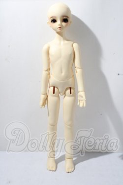 画像6: SDM/F-31　コーディネートモデル U-26-04-15-214-TN-ZU