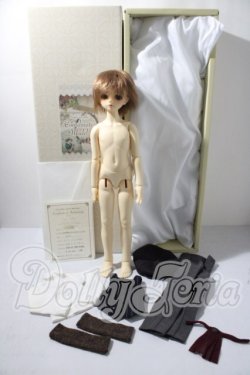 画像8: SDM/F-31　コーディネートモデル U-26-04-15-214-TN-ZU