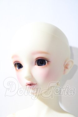 画像2: SD/フルチョイスSD-F-61 U-26-04-22-208-TN-ZU