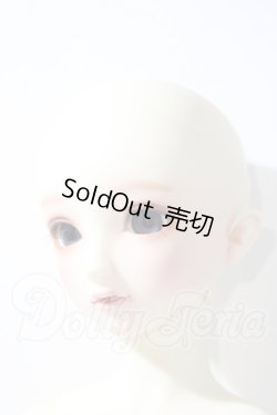 画像2: SD/フルチョイスSD-F-61 U-26-04-22-208-TN-ZU