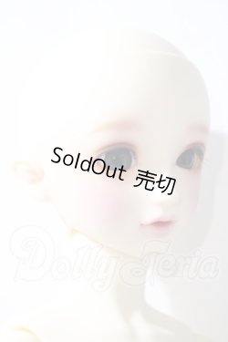 画像3: SD/フルチョイスSD-F-61 U-26-04-22-208-TN-ZU