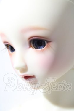 画像7: SD/フルチョイスSD-F-61 U-26-04-22-208-TN-ZU