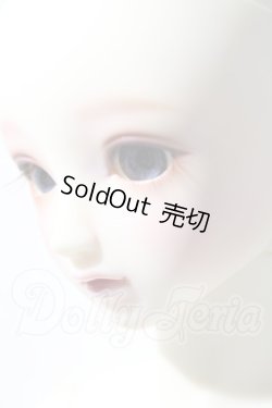 画像7: SD/フルチョイスSD-F-61 U-26-04-22-208-TN-ZU