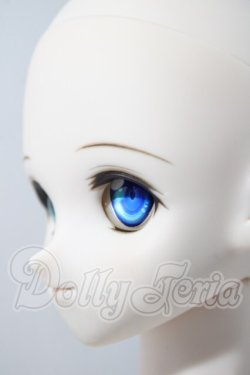 画像4: DD/未来スタンダードver. A-26-04-22-1094-TN-ZU