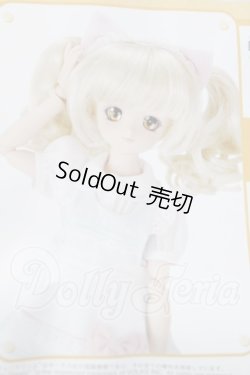 画像1: MDD/ミントCATセット A-26-04-29-1049-TN-ZU