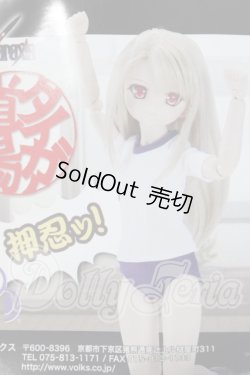 画像1: MDD/イリヤの体操服セット A-26-04-29-1017-TN-ZU